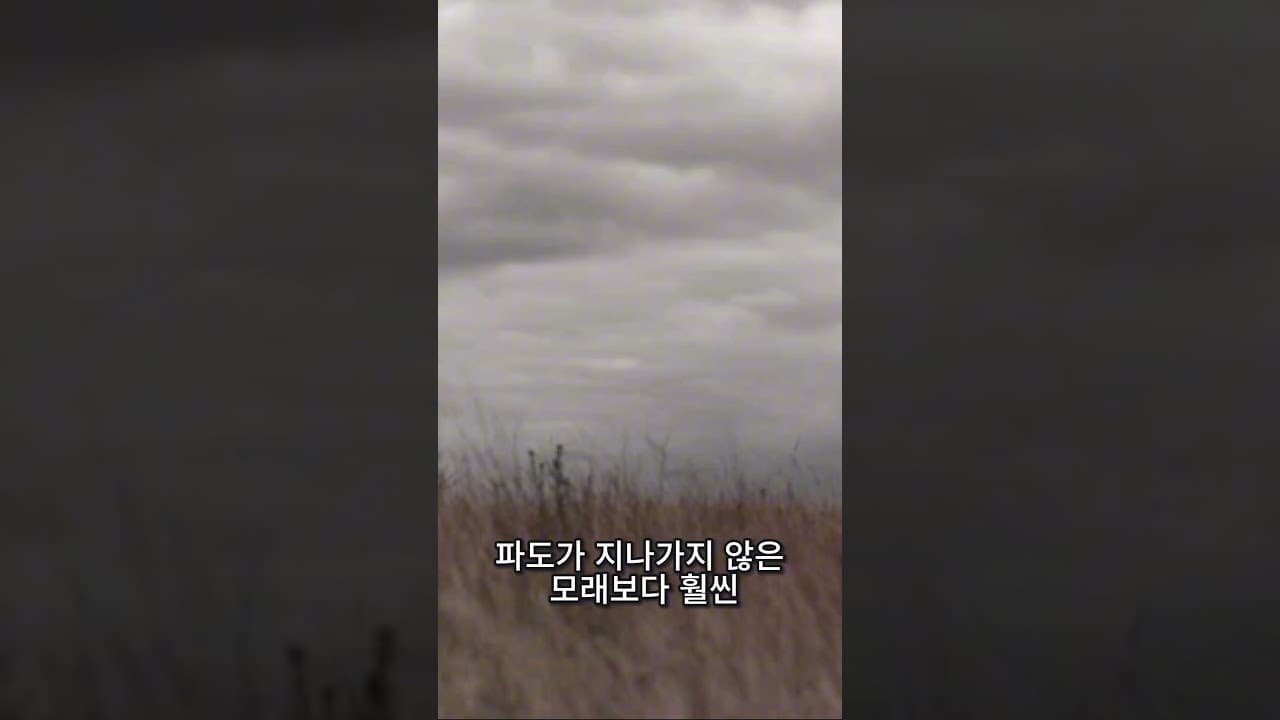 감정의 파도가 덮칠때 | | 이진욱 목사 | The 제자교회